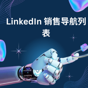 LinkedIn 销售导航列表
