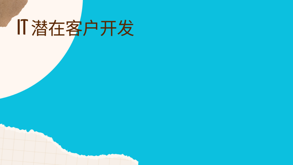 IT 潜在客户开发