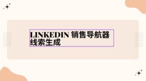 LinkedIn 销售导航器线索生成