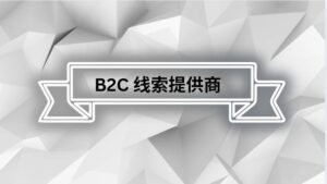 B2C 线索提供商
