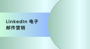 LinkedIn 电子邮件营销
