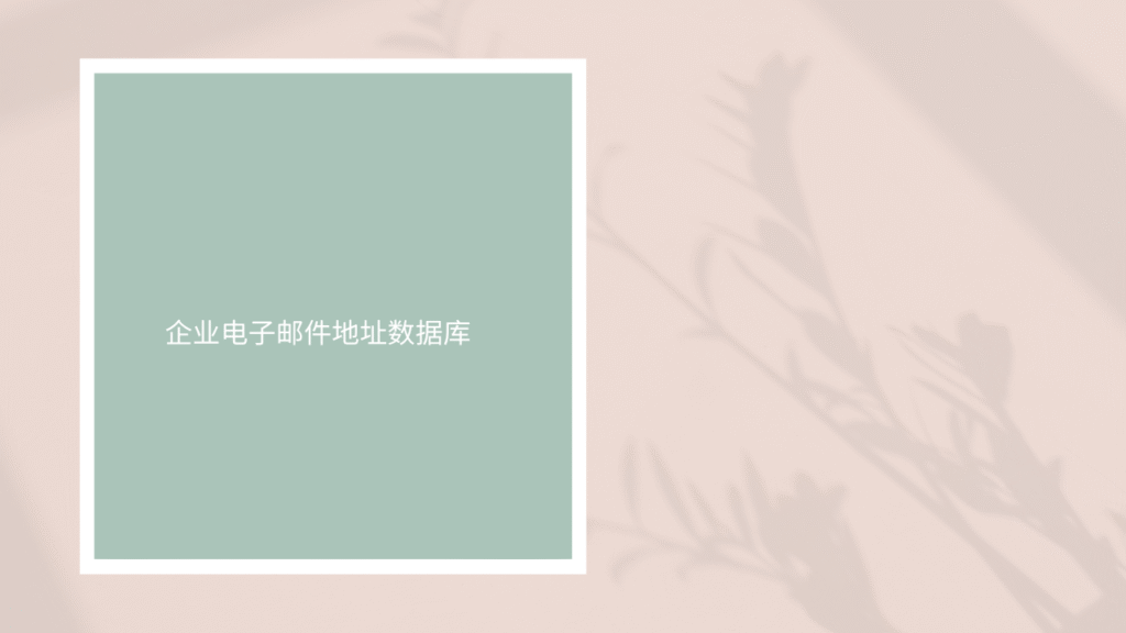 企业电子邮件地址数据库