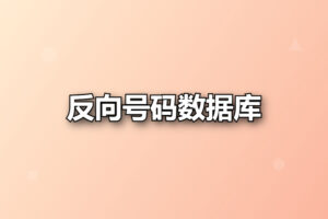 反向号码数据库