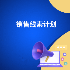 销售线索计划